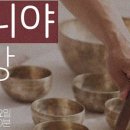 수니사운드