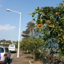 하신상로 이미지