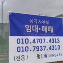 금박공인중개사사무소 이미지