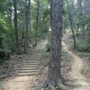 가평뒷동산길 이미지