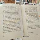 [내돈내산] 나코요트 스탠드 거치대 색다르게 사용해본 후기