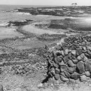 제주시절 이미지