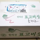 제주영실 표고버섯