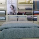 강동-천호-2791 이미지