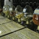 북경동인당한의원 이미지