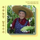 부부농장 이미지