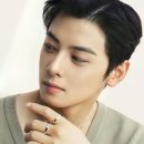 벨리티 이미지