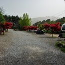 휴림주