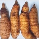 천마 이미지