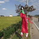 허수아비 이미지