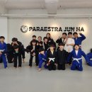 파라에스트라전하