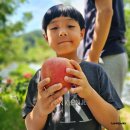 원근농장 이미지