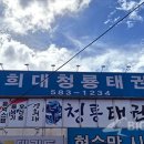 경희대청룡태권도 이미지