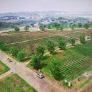 대산농협주유소 이미지