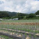 원통초 신덕분교장 이미지