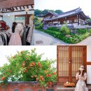 전주골목길게스트하우스 | 전주 한옥마을 숙소 추천! 햇살가득 가성비 게스트하우스 1박2일 숙박 후기