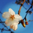 백년건강 - 광산구 비아로 137 | 백년건강