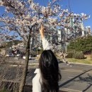 씨유 반포원베일리점 | 중단발 c컬펌 레이어드컷 후기 (준오헤어 반포원베일리점 다이아 디자이너)