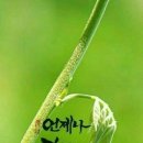 달리다굼