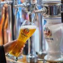 뉴송정자동차서비스 | 정자동 와인 명소 분위기 맛 서비스 모두 최고인 곳