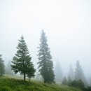 나라환경 이미지