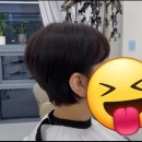 마인더헤어