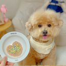 신진종합관리 - 세종특별자치시 | 신진종합관리