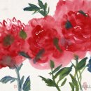 신수호 카카오 검색결과