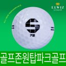 원탑스크린골프 | 스크린용골프공-후기 골프존원탑파크골프 300개 2024년 06월