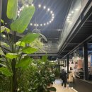 커피팀버김천혁신점 이미지