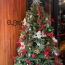 구스토 | 청주 성안길 생면 파스타 맛집 구스토 방문 후기