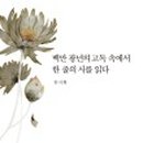 사이카쿠 이미지