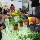 문의초교 병설유치원 이미지