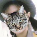 대생약국 이미지