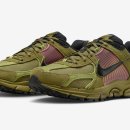 black pear 이미지