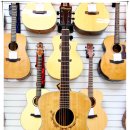 파루시아 이미지