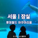 잠실 롯데월드 아쿠아리움 아이랑 방문 후기 | 벨루가 만난 특별한 하루