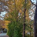 녹천교 화장실 이미지