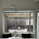 무릉리 그집 이미지