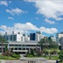 꿈을 키우는 도시 이미지