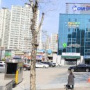 예스스크린골프존 이미지