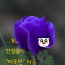 사주팔자ㅡ장고 노래 이미지