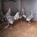 부천농장 이미지