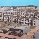 강서구-77 이미지