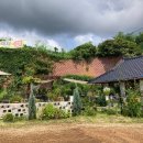 운남로3 이미지