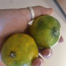 제주도게스트하우스 유로민박 이미지