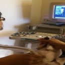 괴정동물병원 이미지