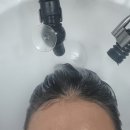 범계 미용실 살롱드잇 범계점 민영샘 밀본클리닉