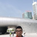 벼룩프라자
