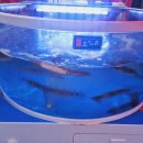 부천원미동우체국 이미지